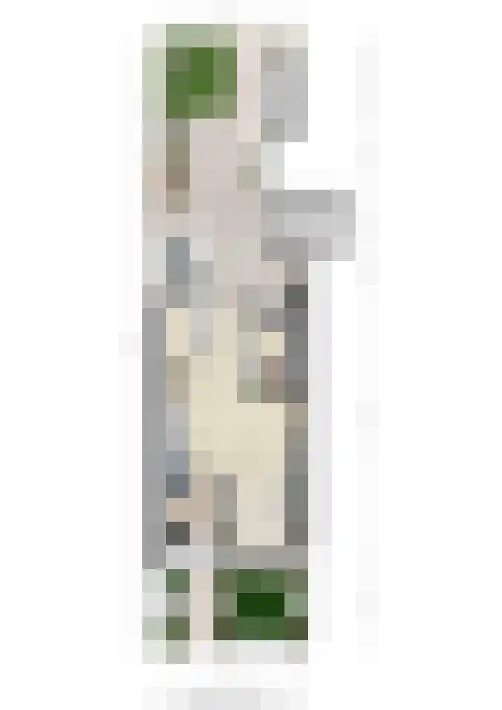 Koolmees 58 Ridderkerk thumbnail 32