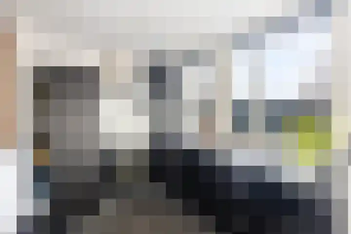Koolmees 59 Hoorn thumbnail 10