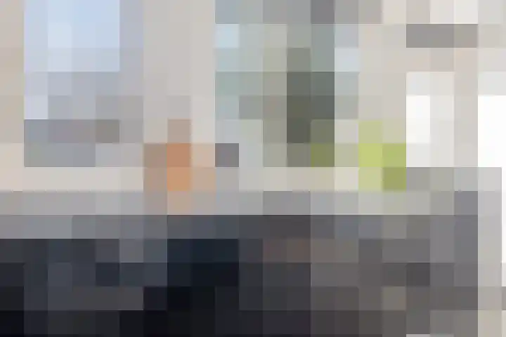 Koolmees 59 Hoorn thumbnail 11