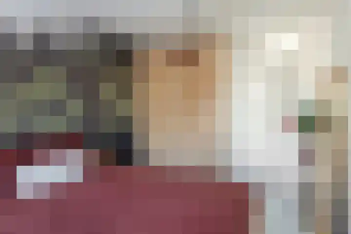 Koolmees 59 Hoorn thumbnail 13