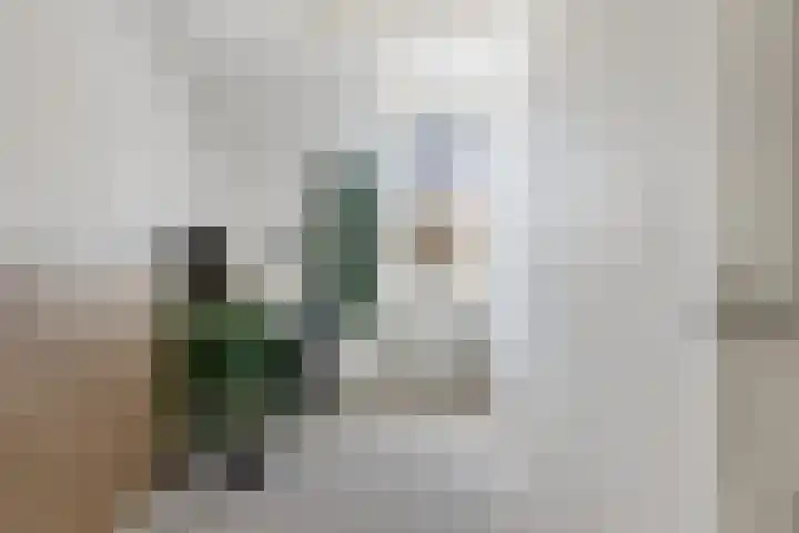 Koolmees 59 Hoorn thumbnail 15