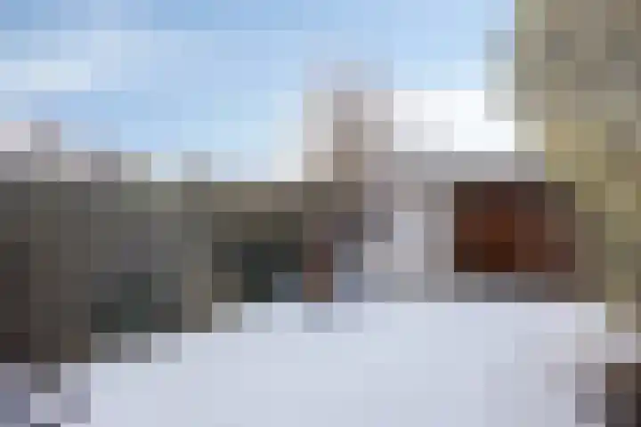 Koolmees 59 Hoorn thumbnail 17