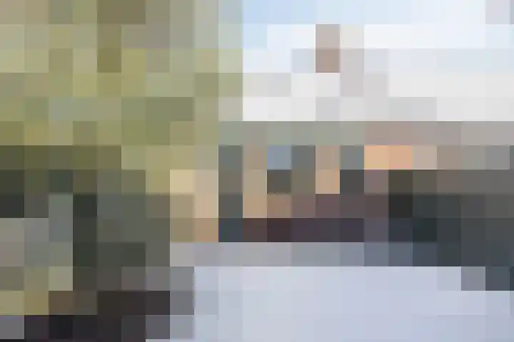 Koolmees 59 Hoorn thumbnail 19