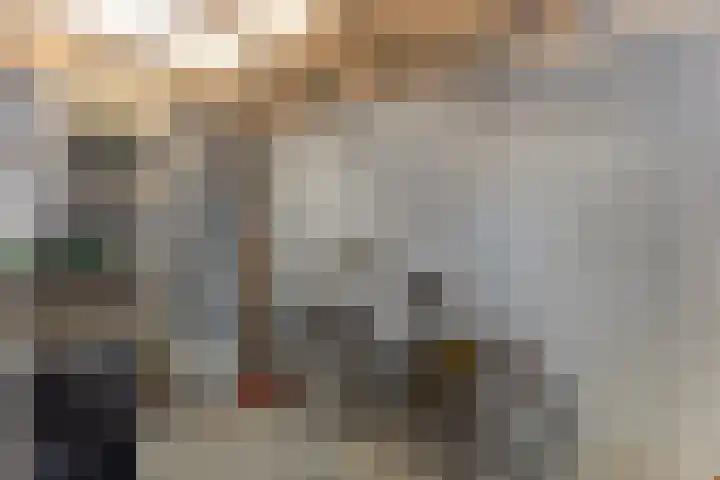 Koolmees 59 Hoorn thumbnail 20