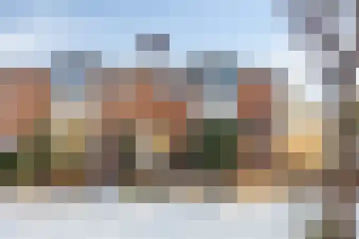 Koolmees 59 Hoorn thumbnail 21