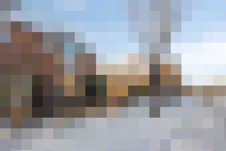 Koolmees 59 Hoorn thumbnail 22