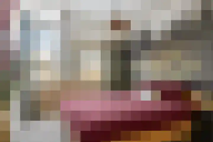 Koolmees 59 Hoorn thumbnail 4