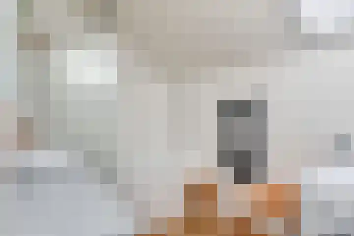 Koolmees 59 Hoorn thumbnail 5