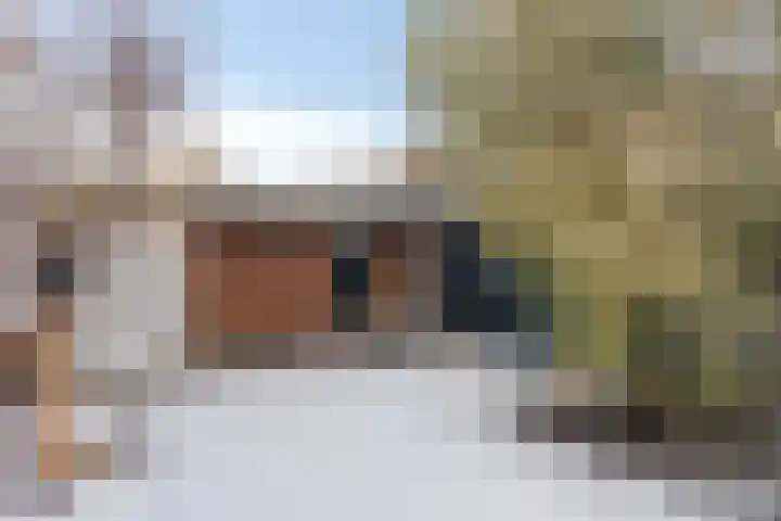 Koolmees 59 Hoorn thumbnail 6