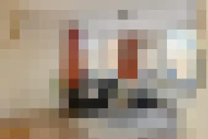 Koolmees 59 Hoorn thumbnail 8