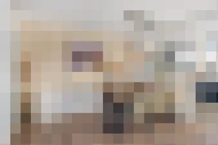 Koolmees 59 Hoorn thumbnail 9