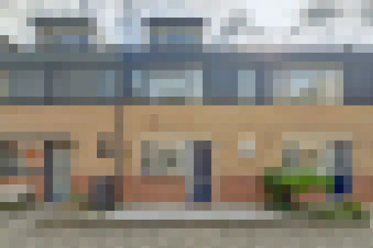 Koolmees 6 De Lier
