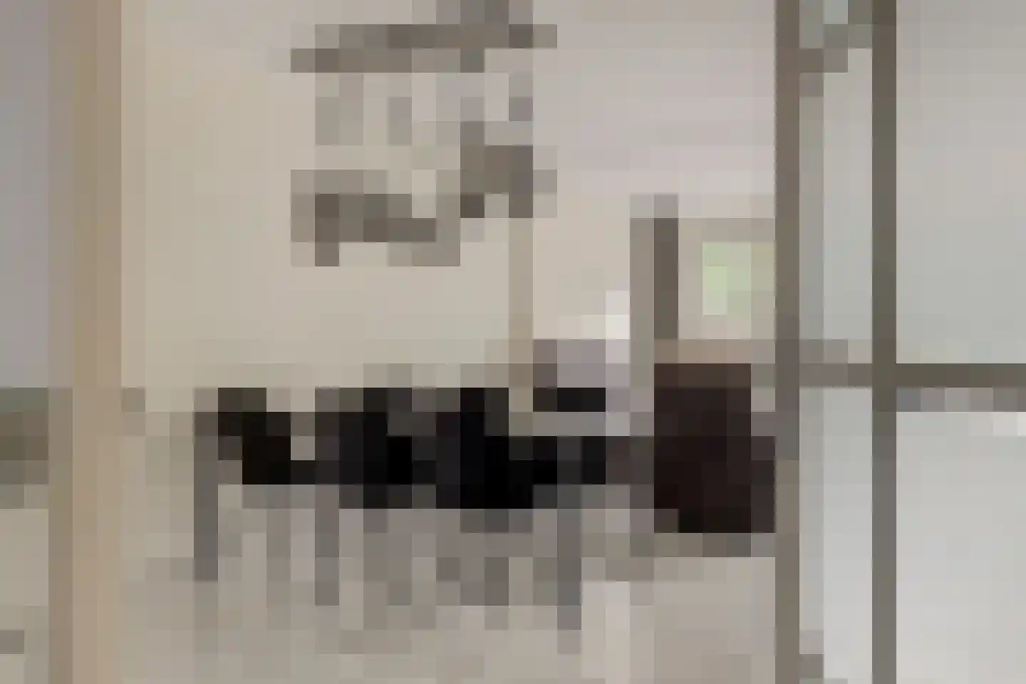 Koolmees 6 De Lier thumbnail 11
