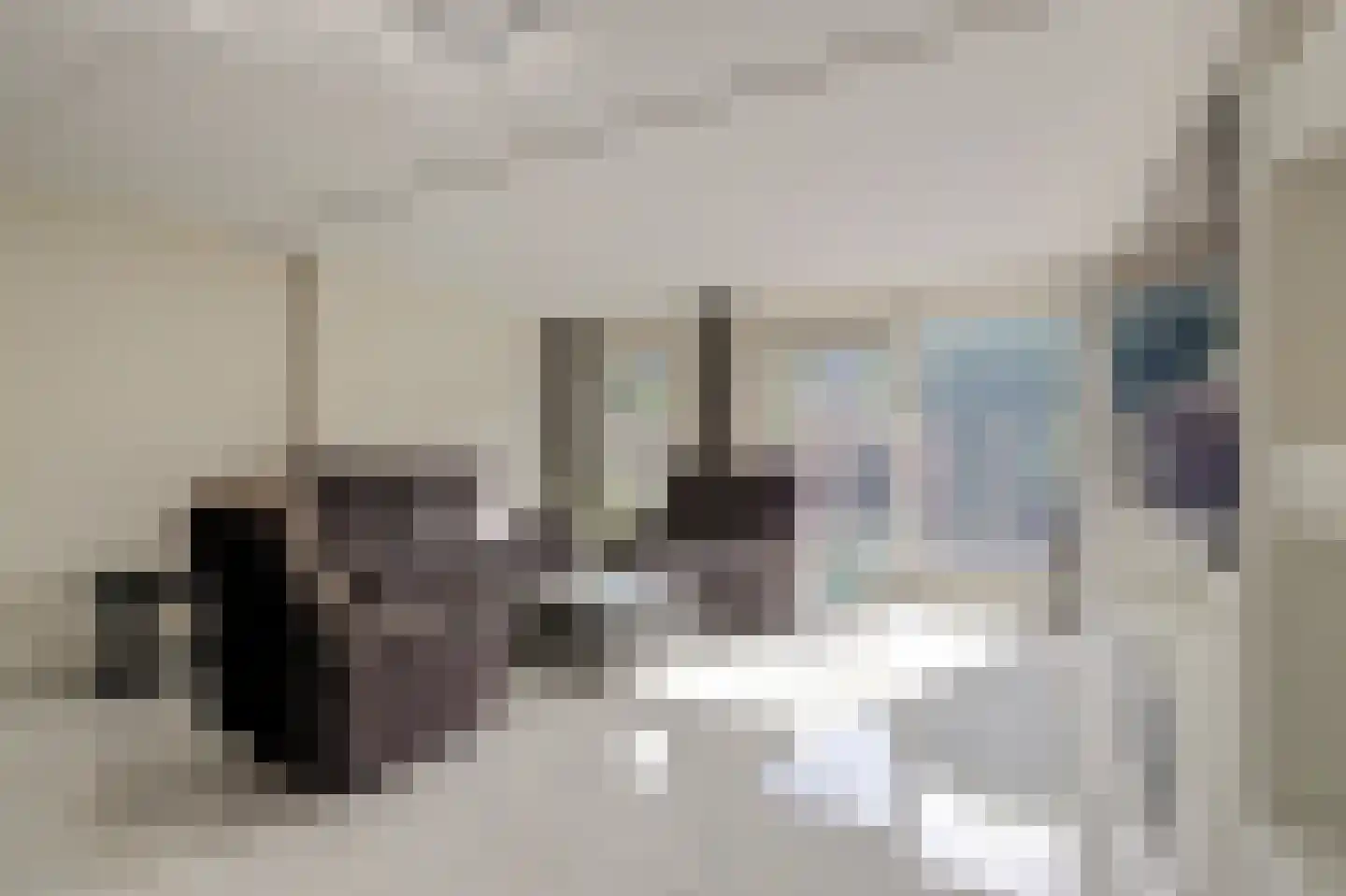 Koolmees 6 De Lier thumbnail 12