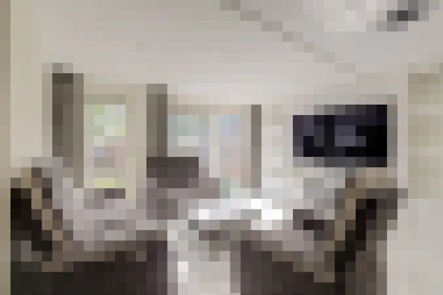 Koolmees 6 De Lier thumbnail 13