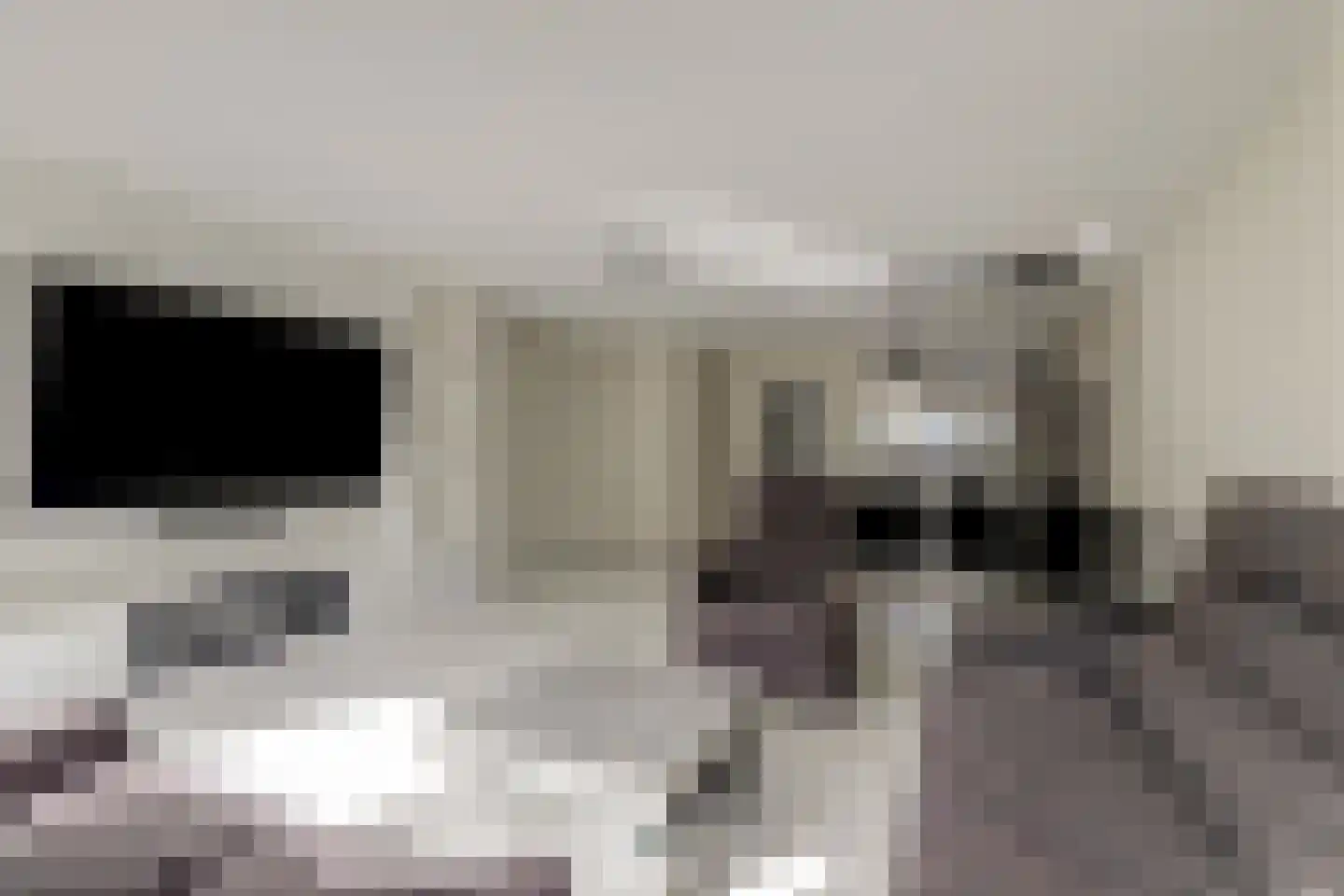Koolmees 6 De Lier thumbnail 14