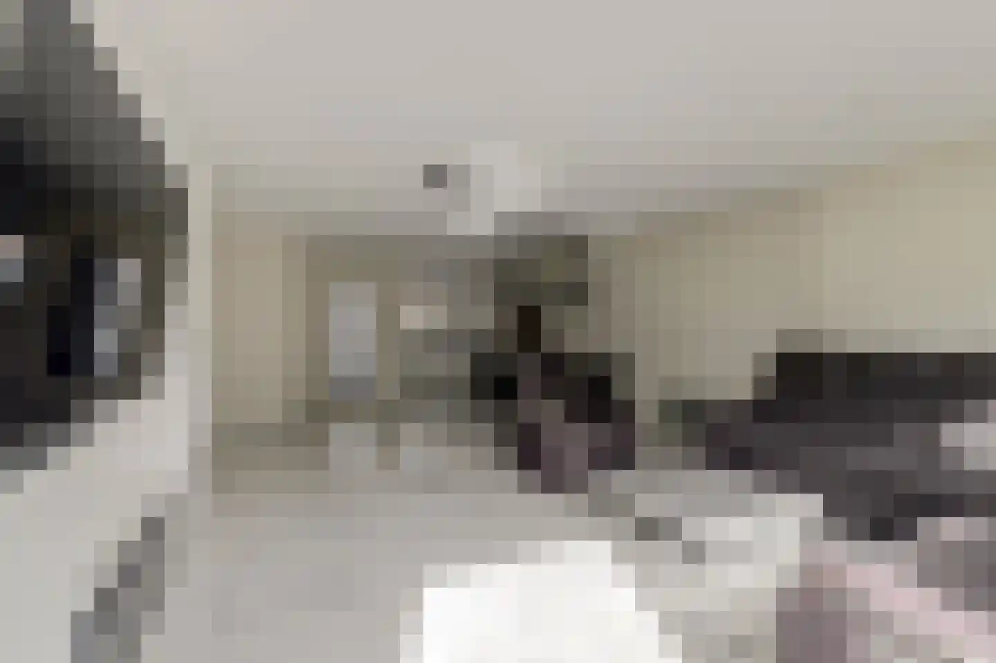 Koolmees 6 De Lier thumbnail 15