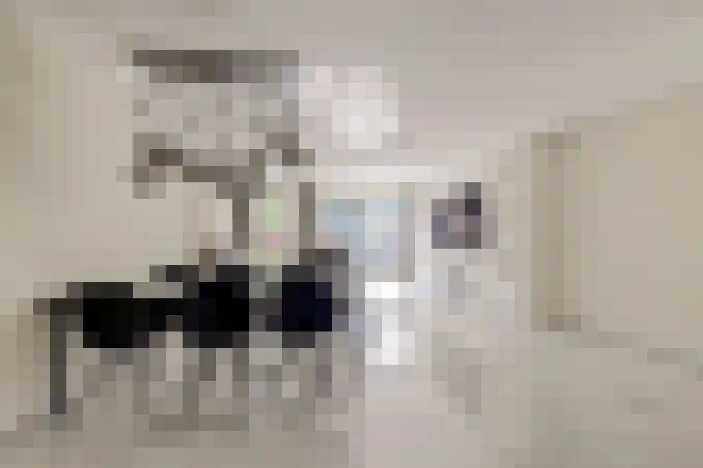 Koolmees 6 De Lier thumbnail 16