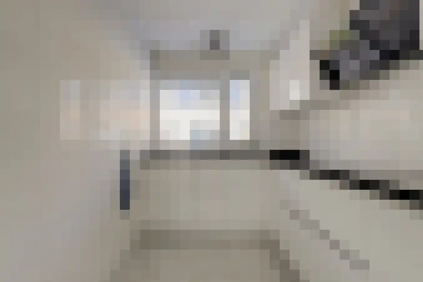 Koolmees 6 De Lier thumbnail 18