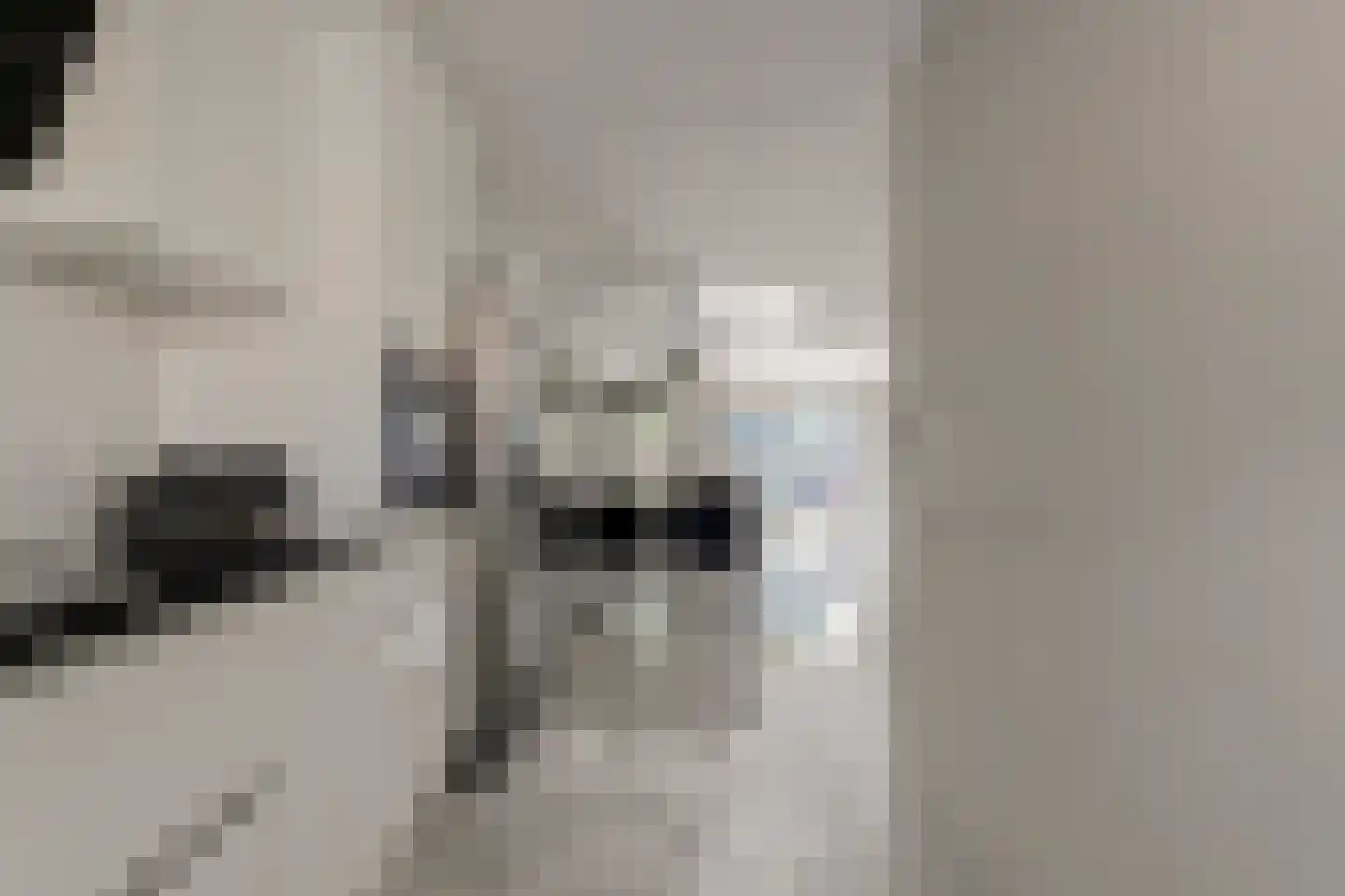 Koolmees 6 De Lier thumbnail 19