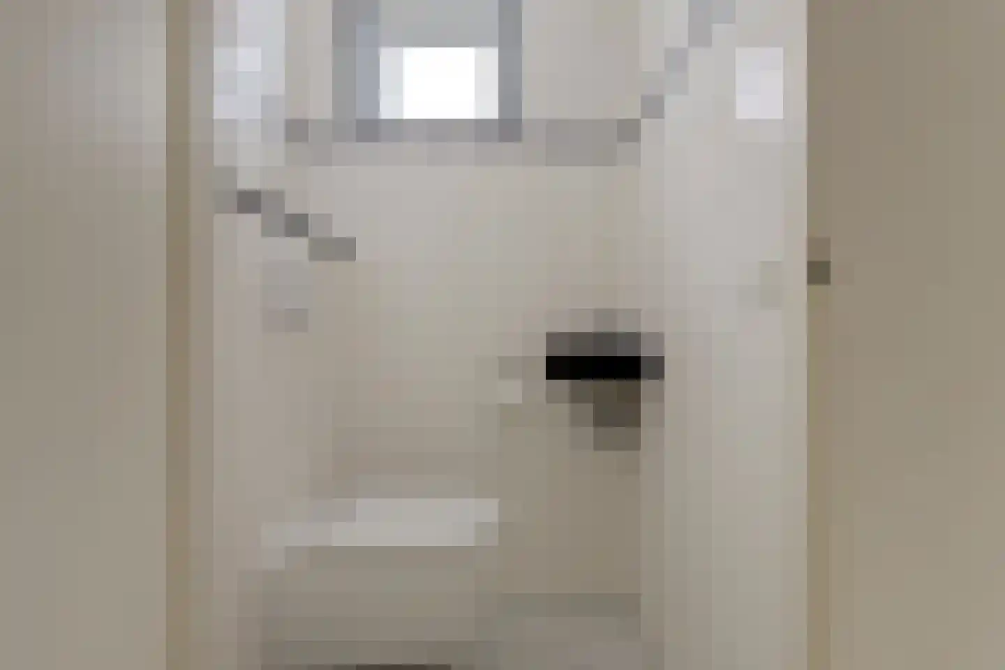 Koolmees 6 De Lier thumbnail 20