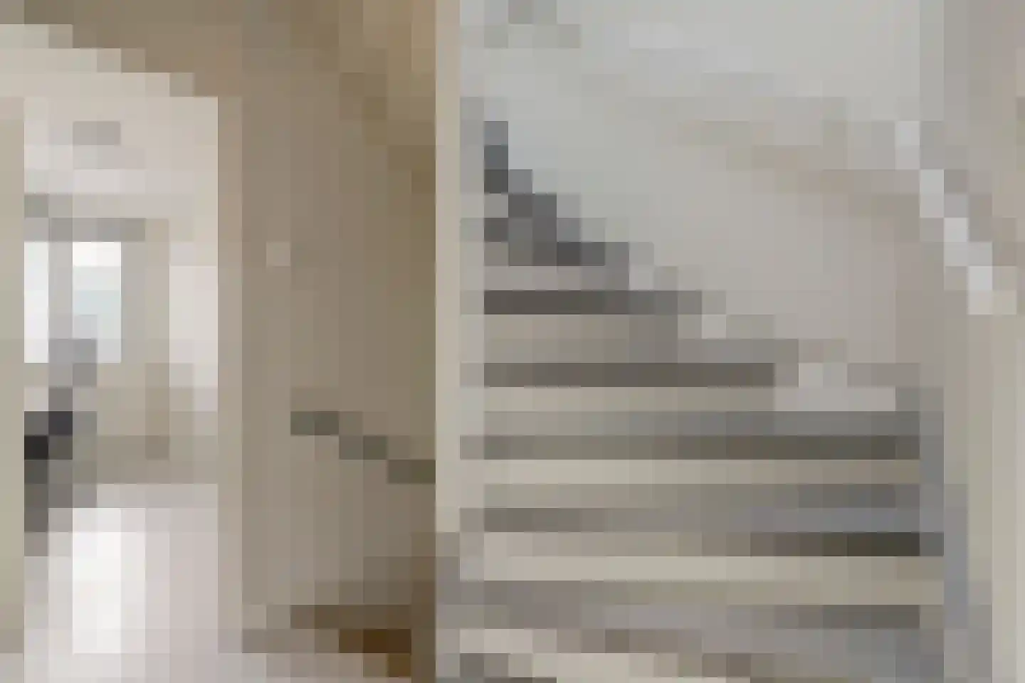 Koolmees 6 De Lier thumbnail 22