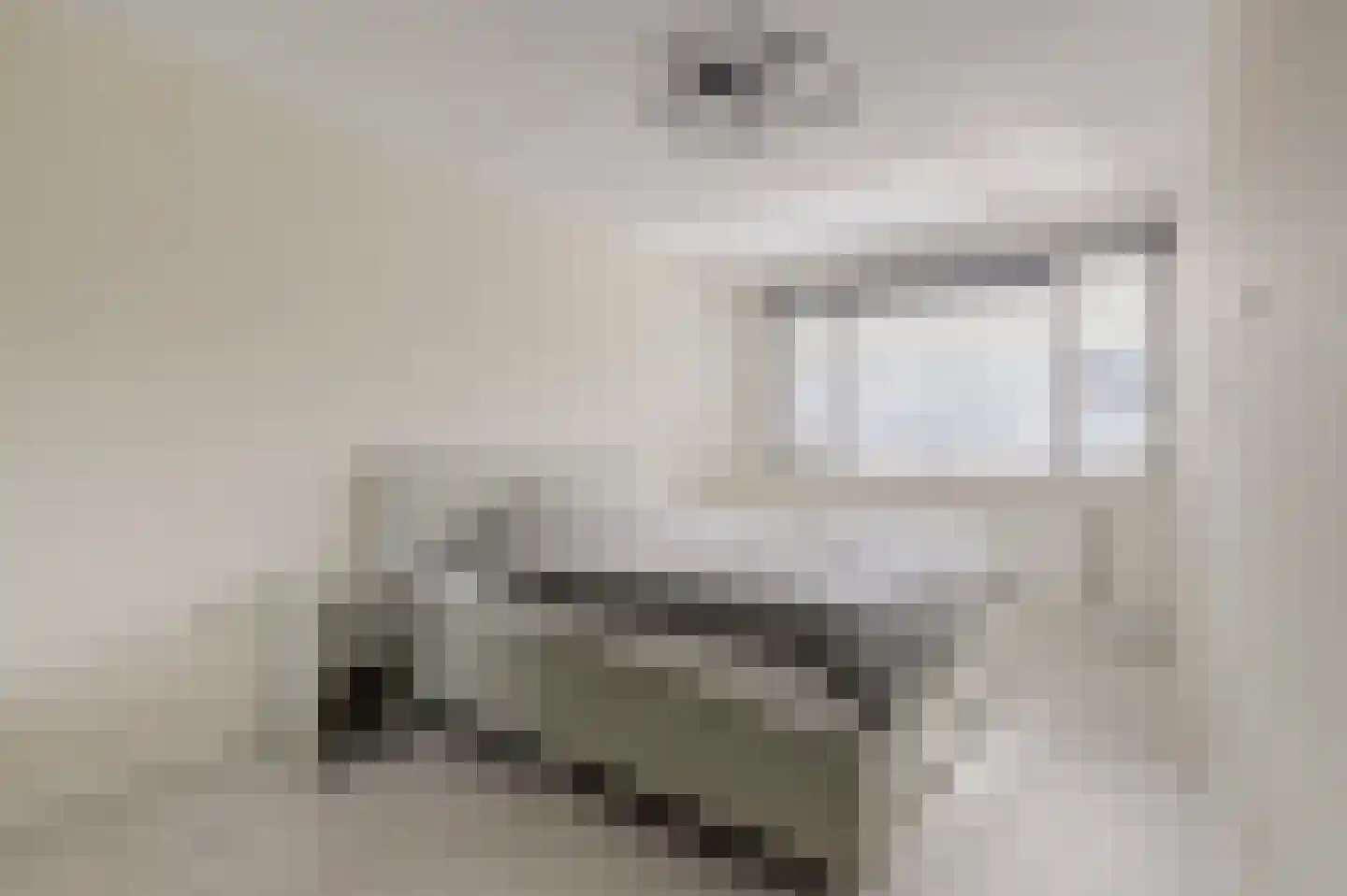 Koolmees 6 De Lier thumbnail 24