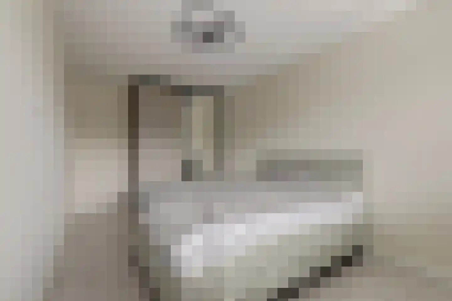 Koolmees 6 De Lier thumbnail 25