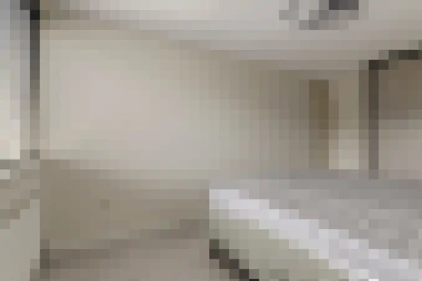 Koolmees 6 De Lier thumbnail 26
