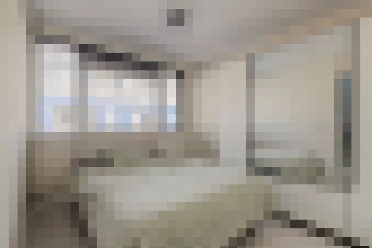 Koolmees 6 De Lier thumbnail 27
