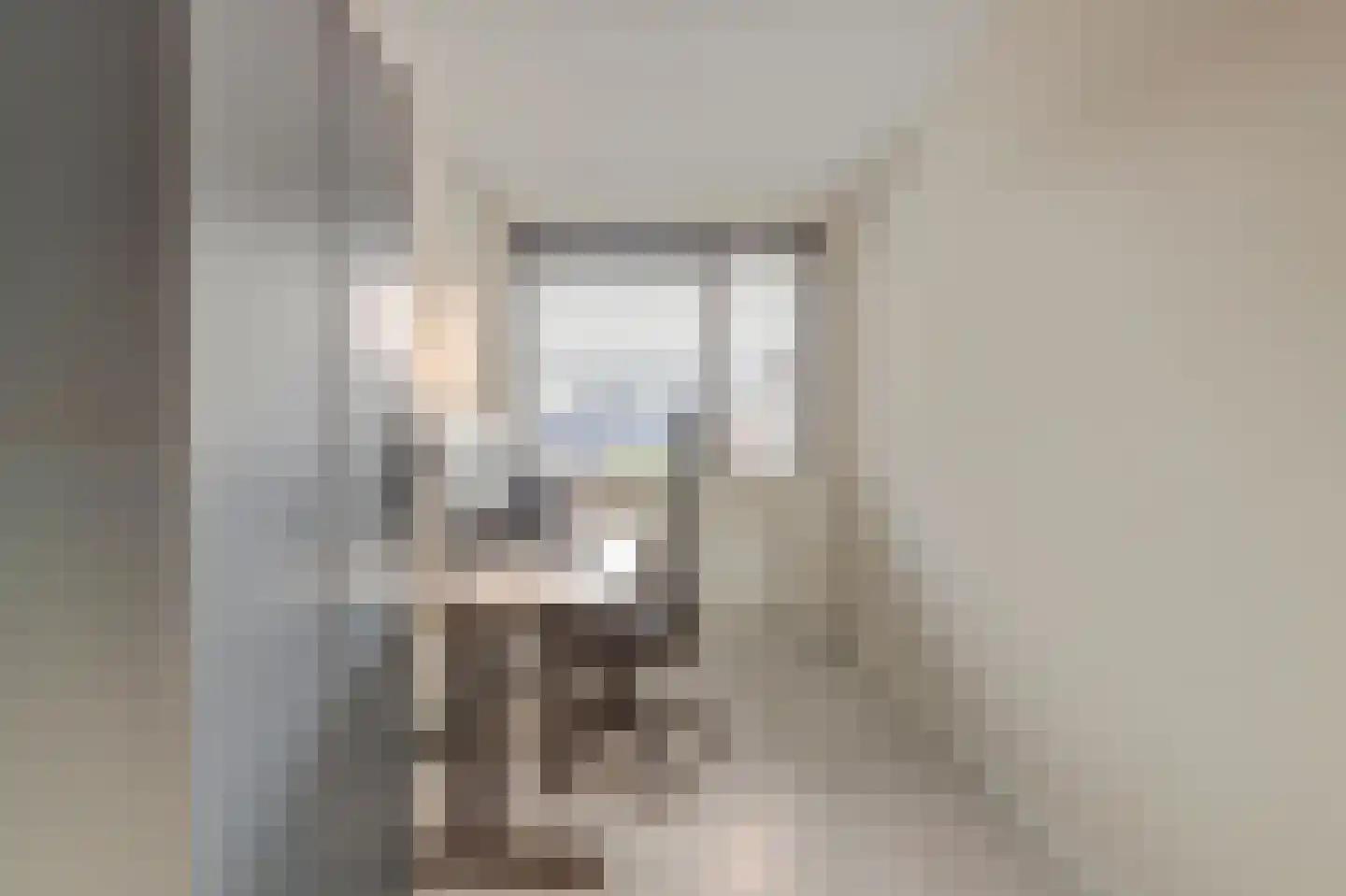 Koolmees 6 De Lier thumbnail 29