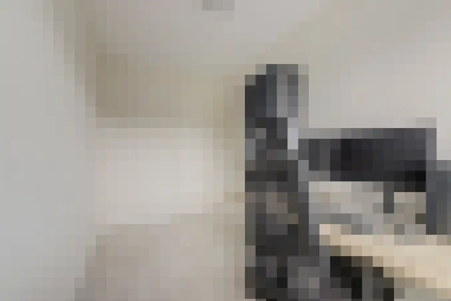 Koolmees 6 De Lier thumbnail 30