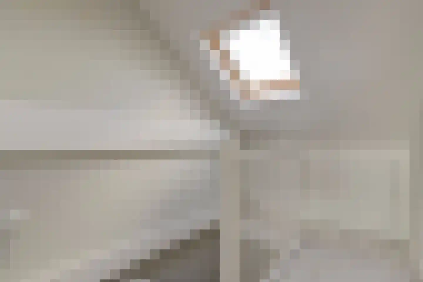 Koolmees 6 De Lier thumbnail 32