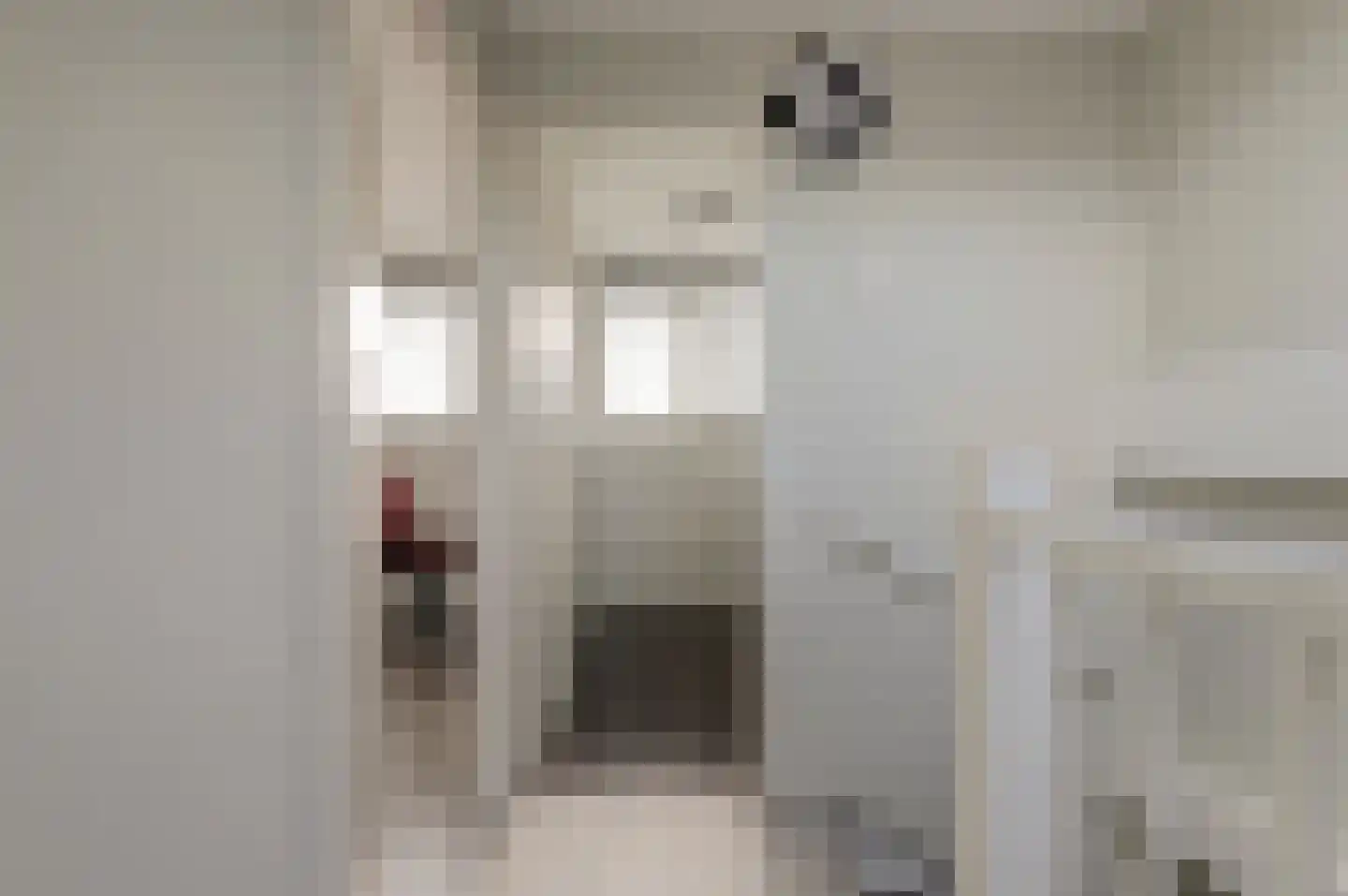 Koolmees 6 De Lier thumbnail 33