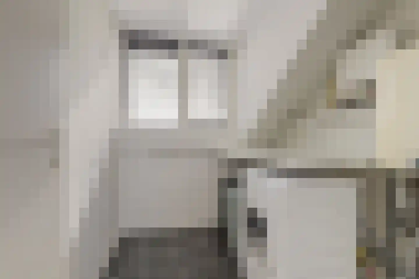 Koolmees 6 De Lier thumbnail 34
