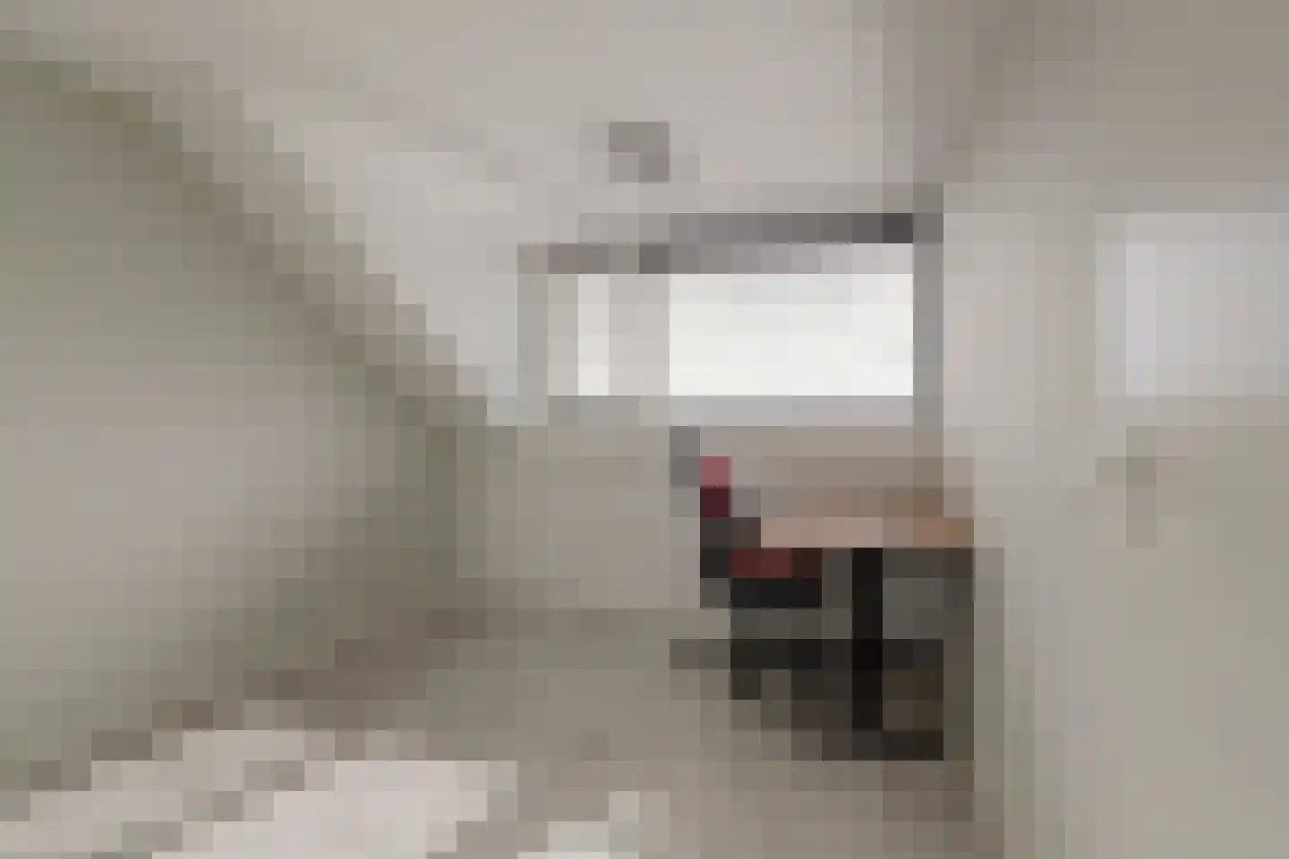 Koolmees 6 De Lier thumbnail 36