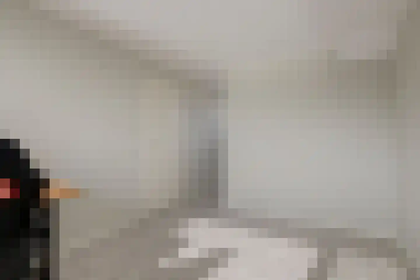 Koolmees 6 De Lier thumbnail 37
