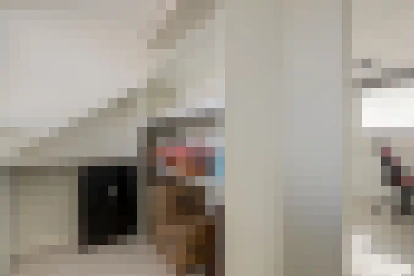 Koolmees 6 De Lier thumbnail 38