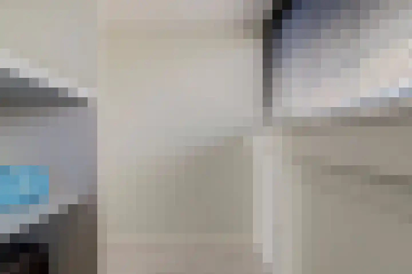 Koolmees 6 De Lier thumbnail 39