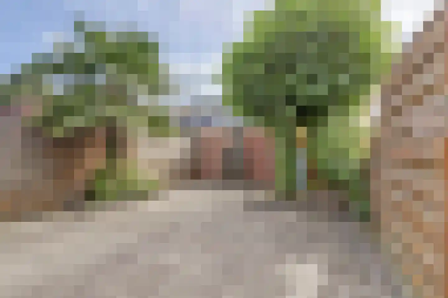 Koolmees 6 De Lier thumbnail 4