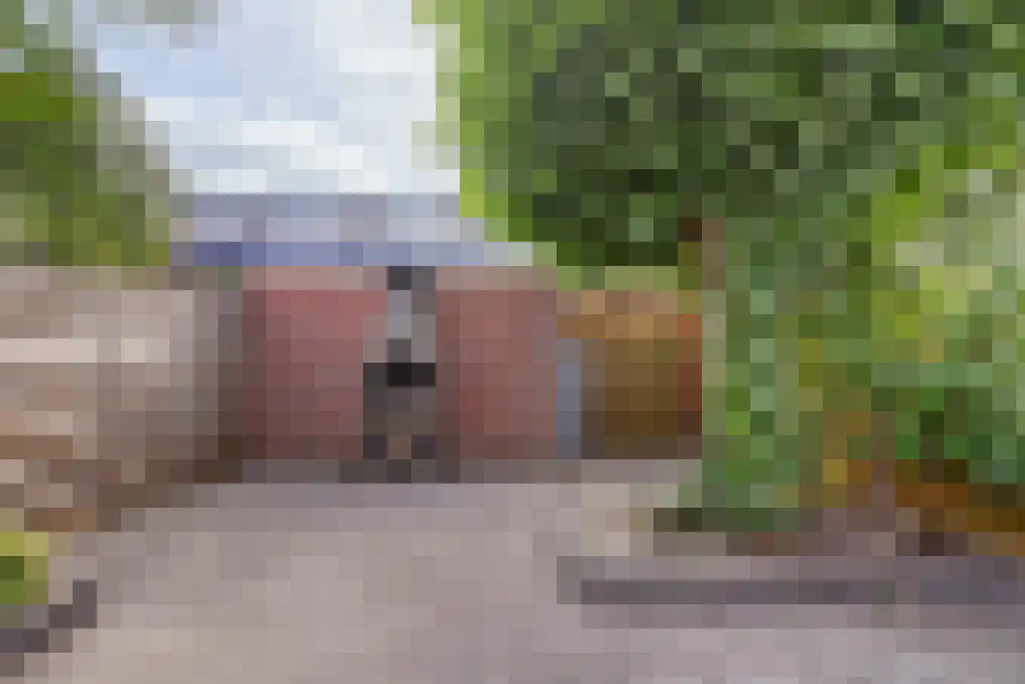 Koolmees 6 De Lier thumbnail 41