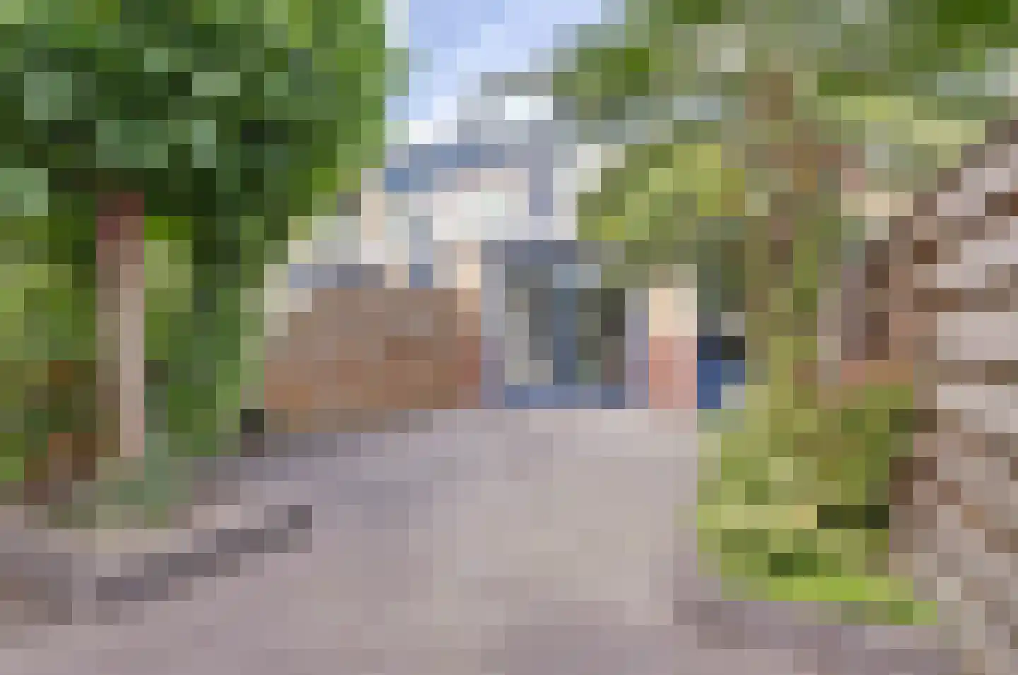 Koolmees 6 De Lier thumbnail 42