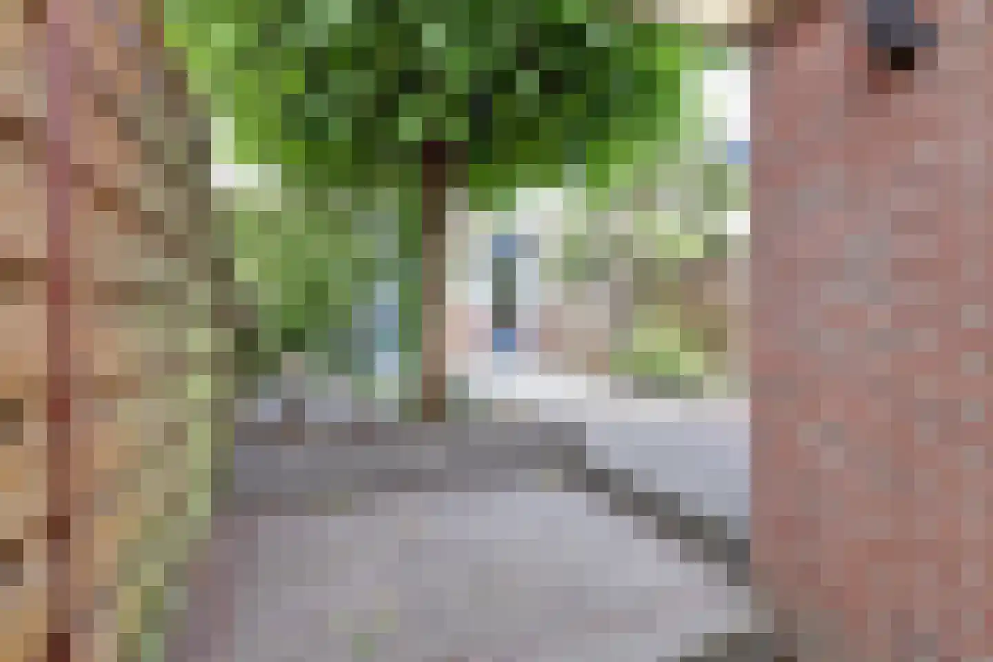 Koolmees 6 De Lier thumbnail 43