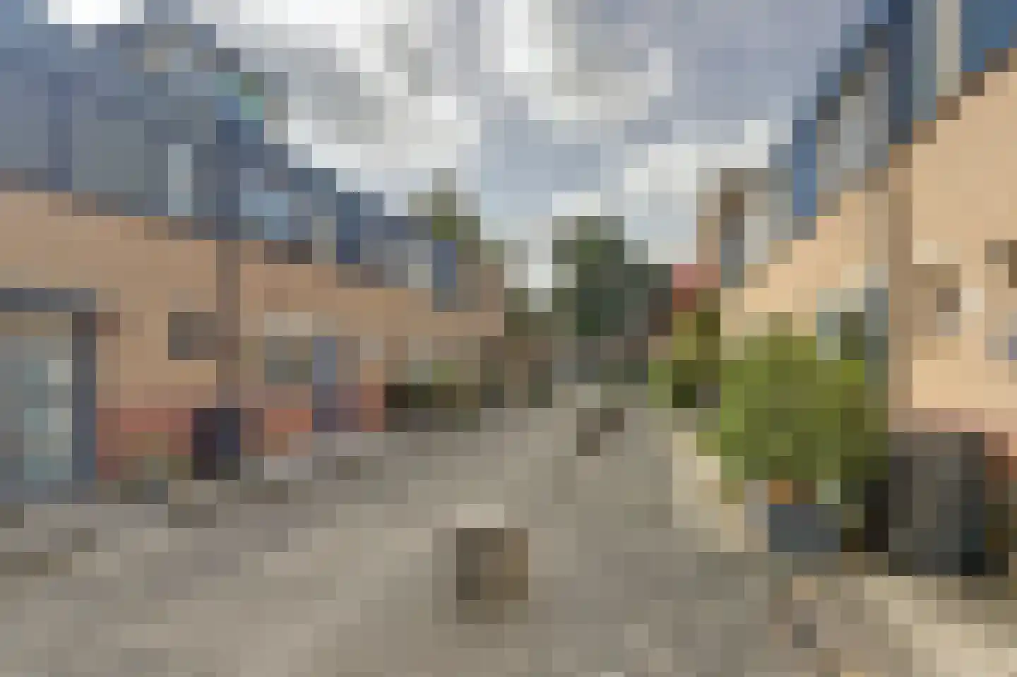 Koolmees 6 De Lier thumbnail 44