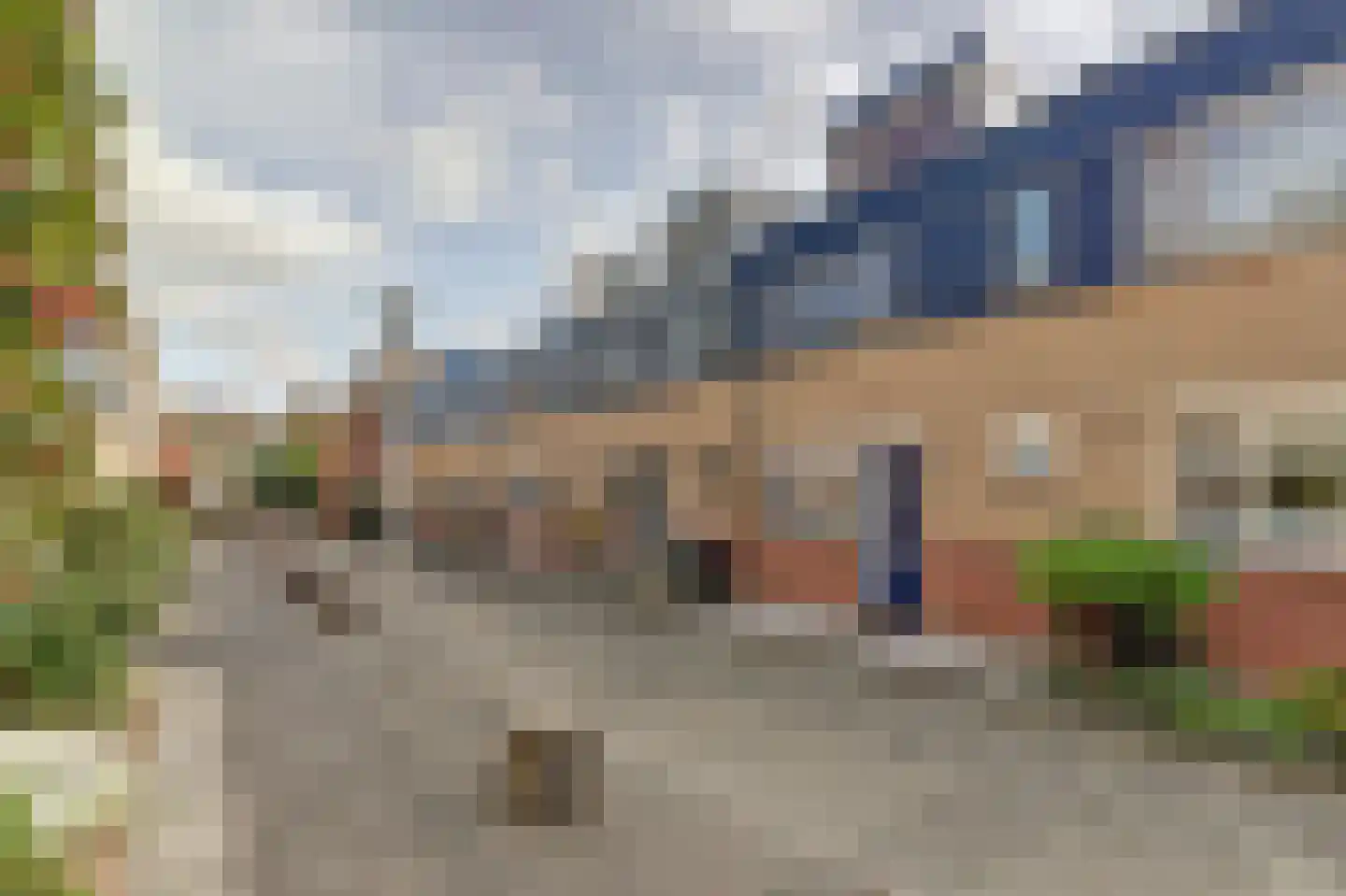 Koolmees 6 De Lier thumbnail 45