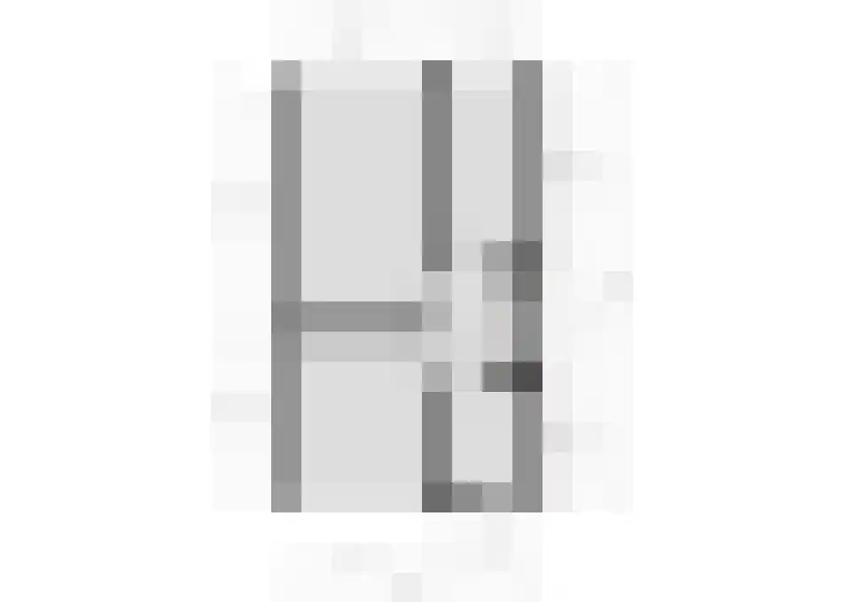 Koolmees 6 De Lier thumbnail 47