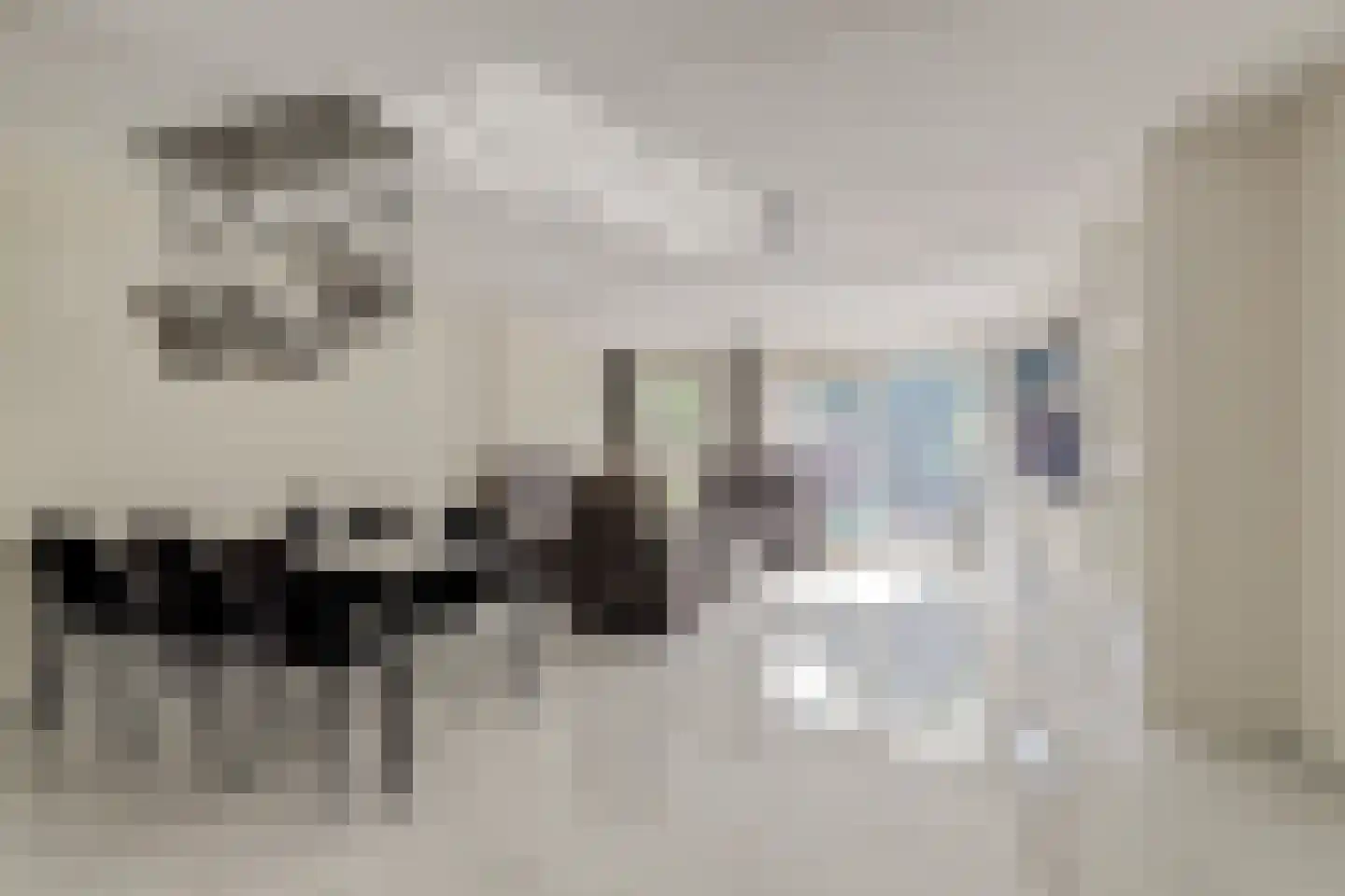 Koolmees 6 De Lier thumbnail 5