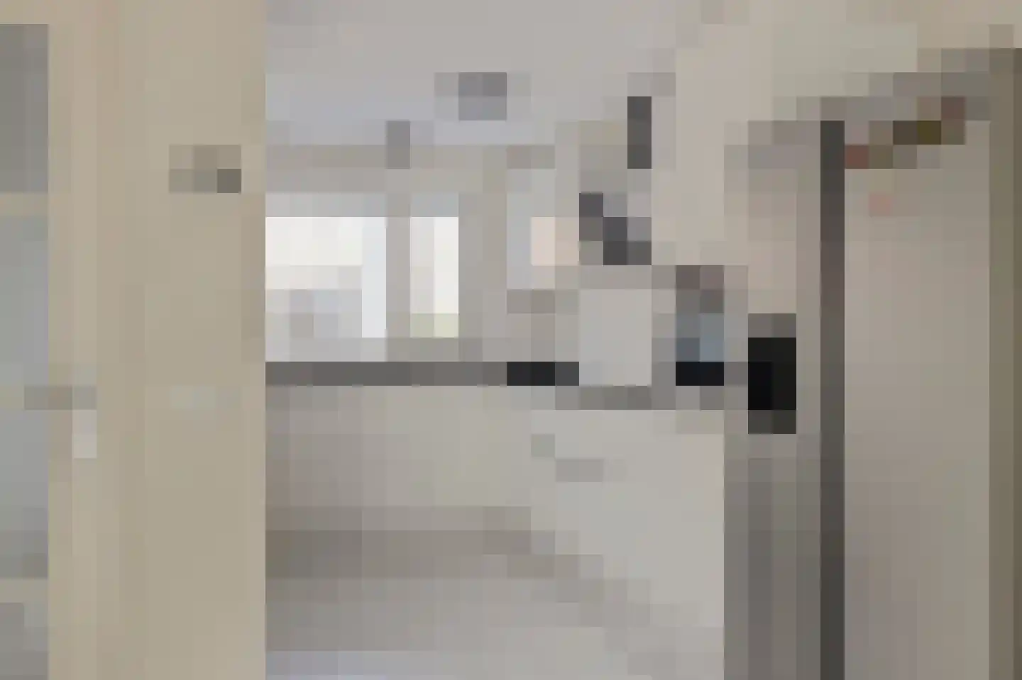 Koolmees 6 De Lier thumbnail 6