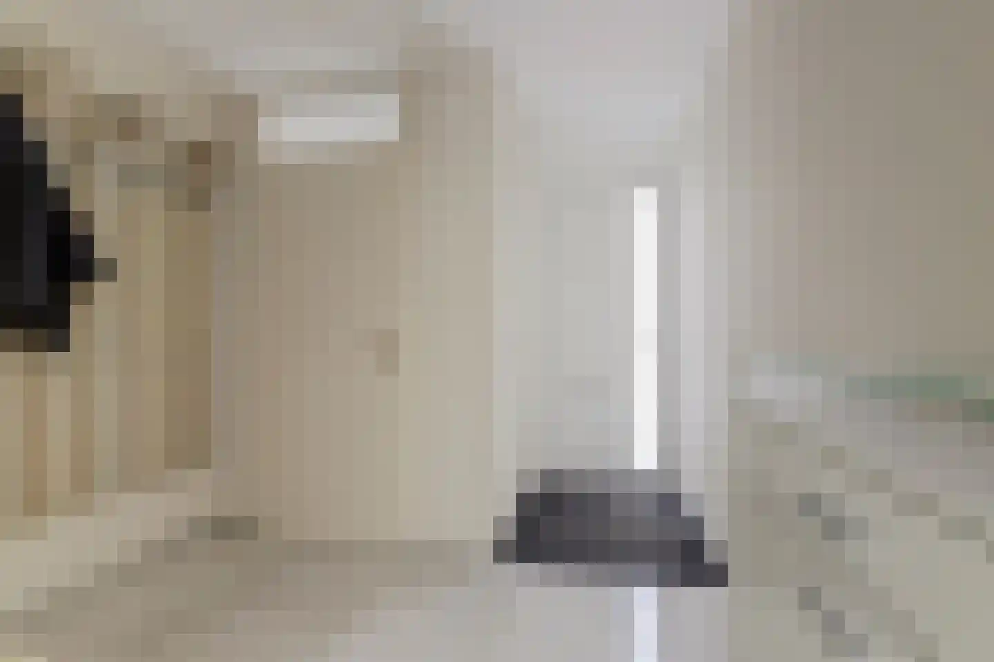 Koolmees 6 De Lier thumbnail 9
