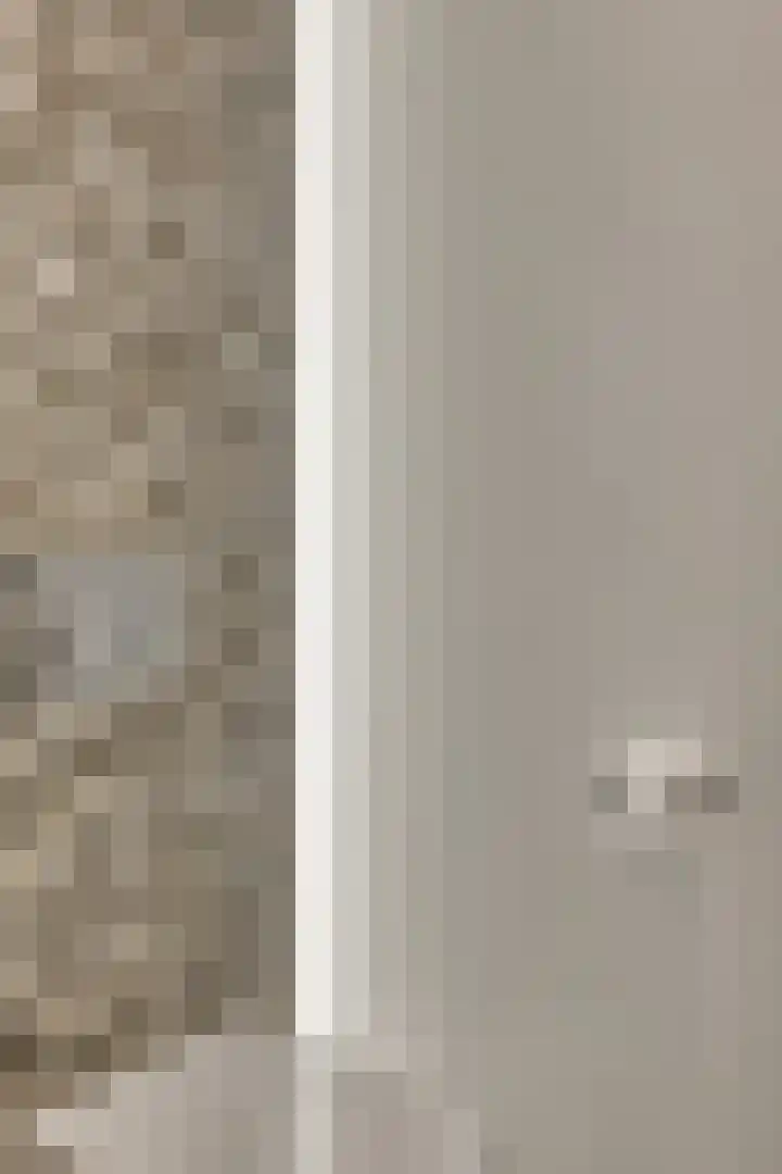 Koolmees 6 Mierlo thumbnail 10